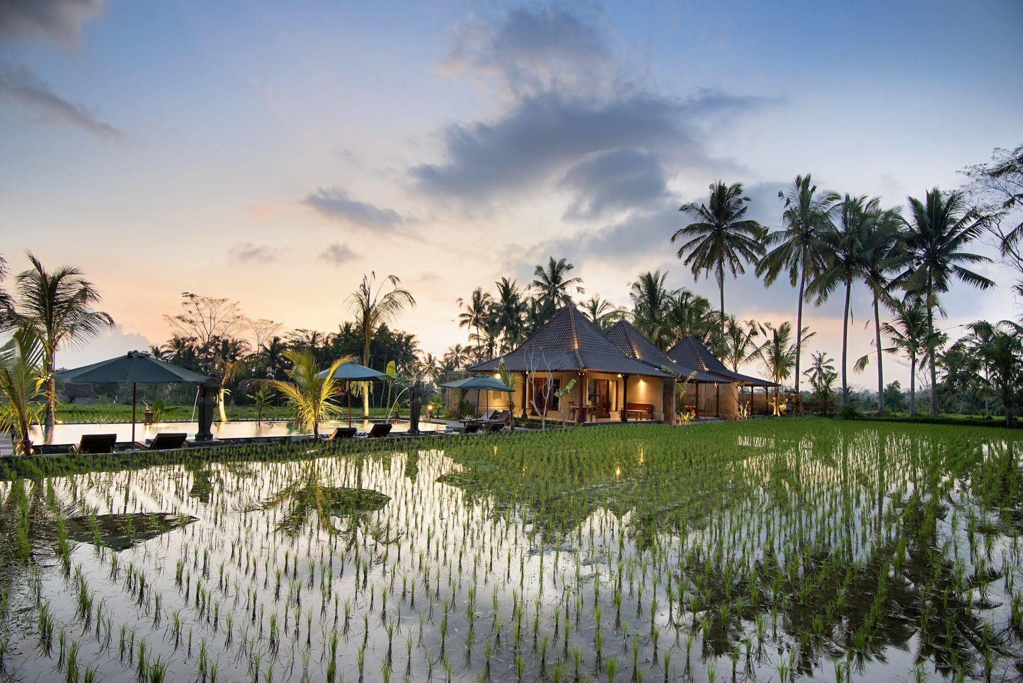 Pajar House Ubud Suite & Villas Екстериор снимка