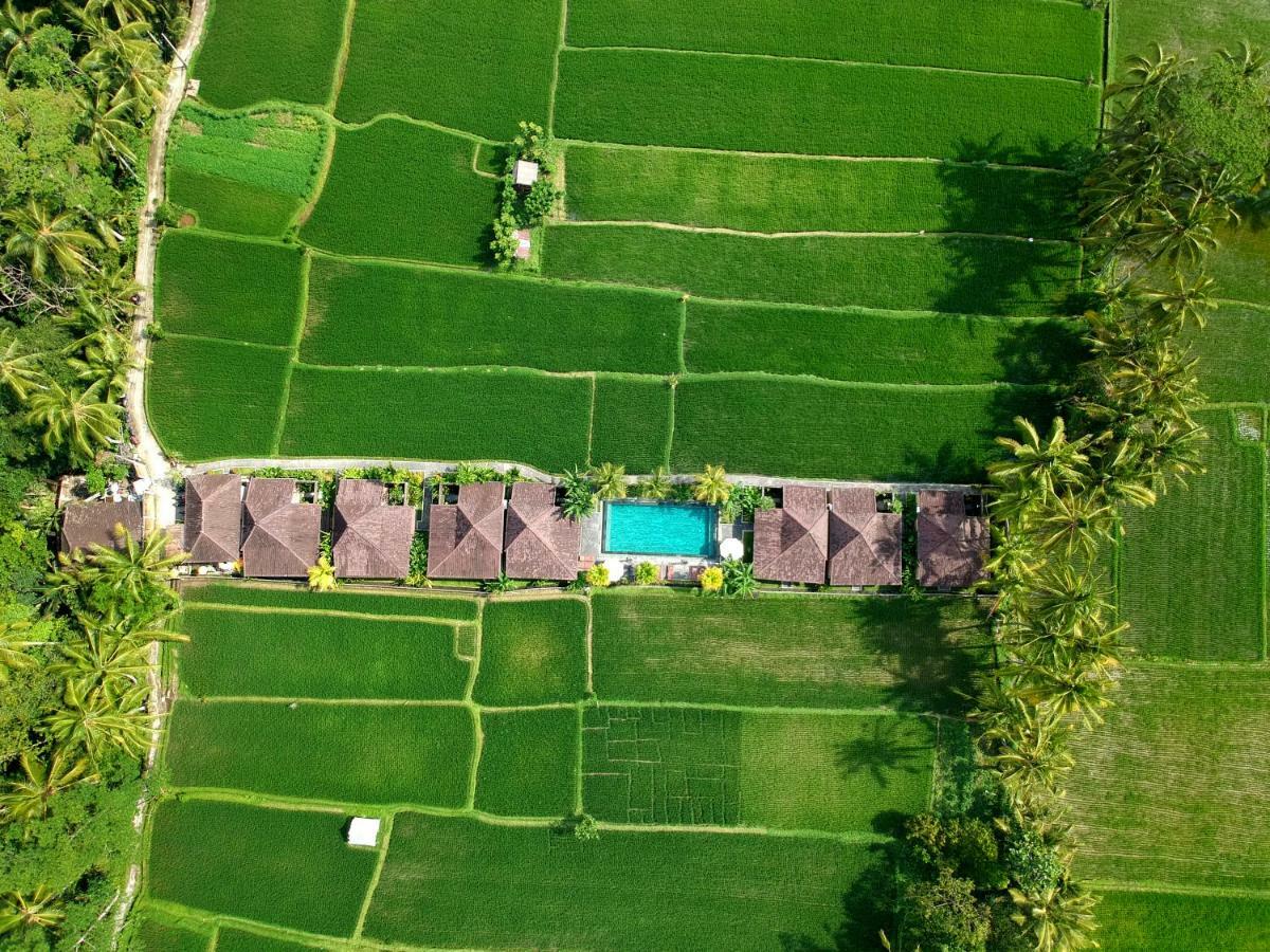 Pajar House Ubud Suite & Villas Екстериор снимка